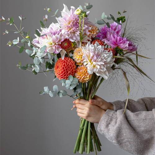 Stellar_Stems_Gallery_500x500-2