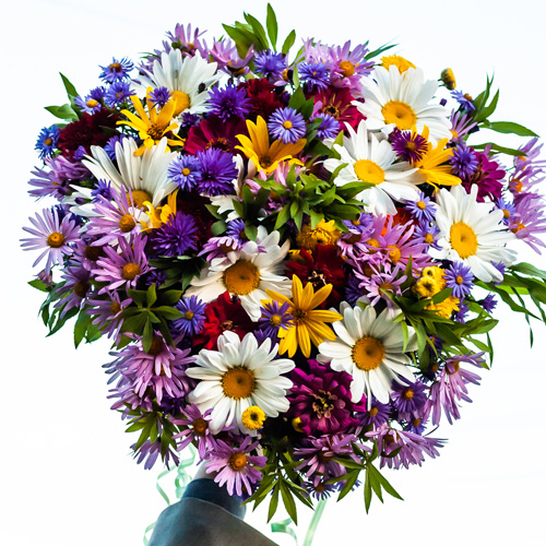 Stellar_Stems_Gallery_500x500-3