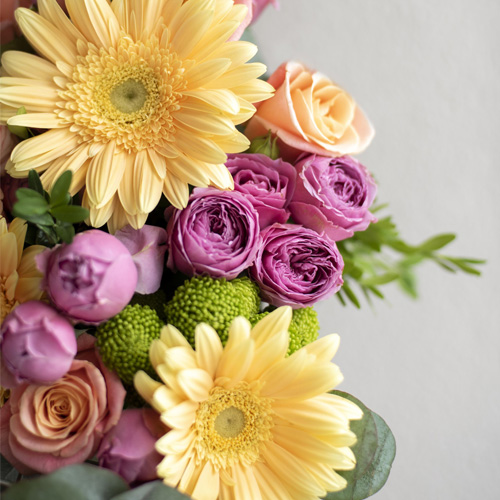 Stellar_Stems_Gallery_500x500-5