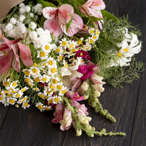 Stellar_Stems_Gallery_500x500-8