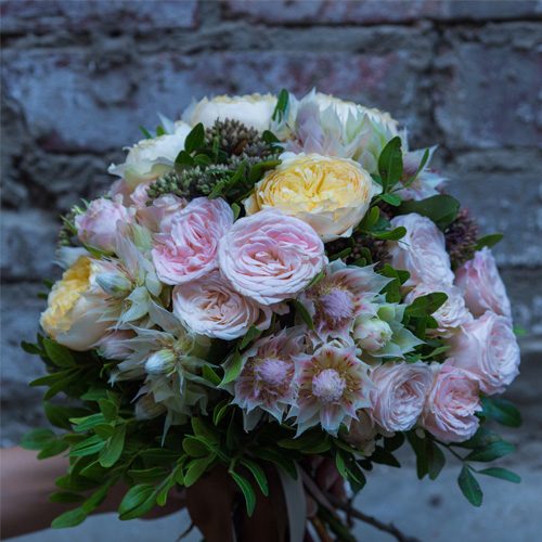 Stellar_Stems_Gallery_500x500-10